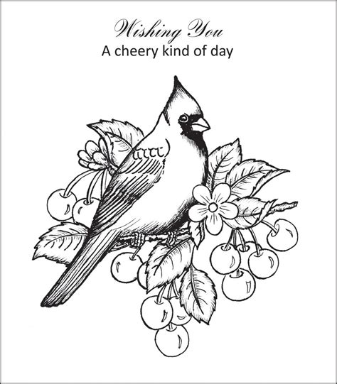 perched pretty bird coloring pages coloring pages bird drawings