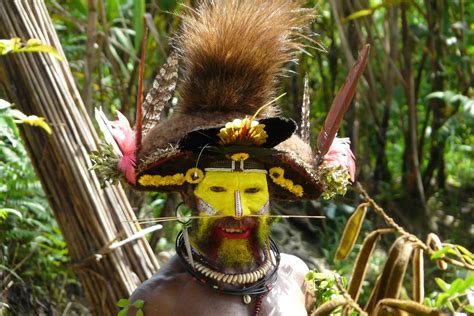 Papua New Guinea Off The Beaten Track Reef And Rainforest Tours