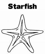 Coloring Starfish Pages Choose Board Sheets Color Fish sketch template