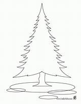 Coloring Tree Pine Pages Library Clipart Popular sketch template