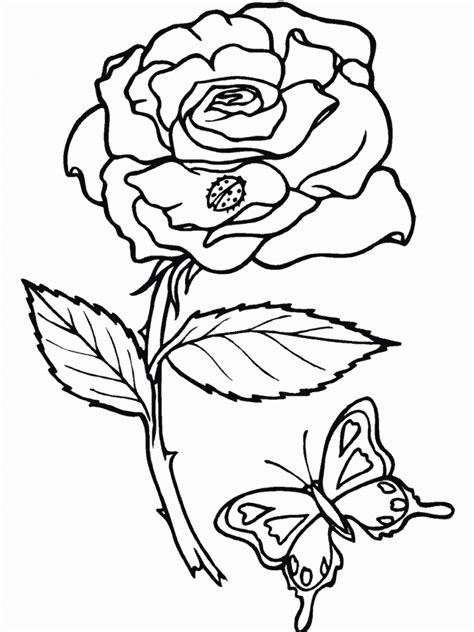 printable coloring pages  hawaiian flowers coloring home