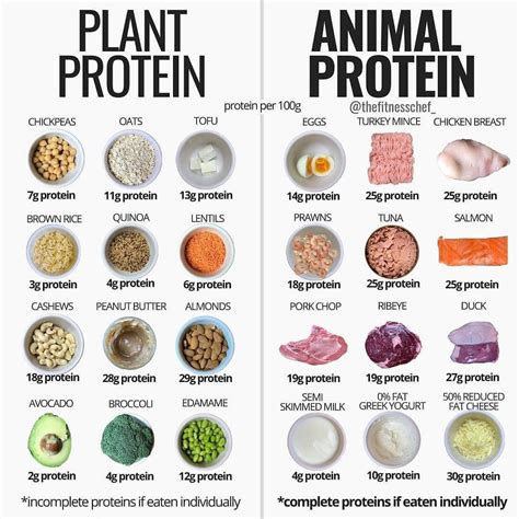 protein sources rcoolguides