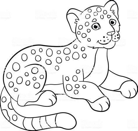 baby jaguar coloring pages home family style  art ideas