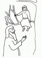Zacchaeus Zaccheus Clip Coloringhome sketch template