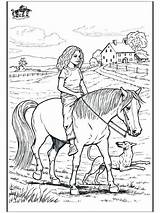 Coloring Horseback Horses sketch template