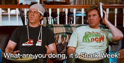 step brothers quotes 20 of the most hilarious