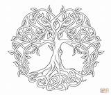 Coloring Tree Life Pages Celtic Printable Color Drawing Lebensbaum Mandala Vida Drawings Arbre Vie Arbol Ausmalbild Celtique Supercoloring Tattoo Pagan sketch template