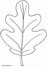 Leaf Oak Template Coloring Printable Drawing Pattern Leaves Patterns Pages Pdf Fall Kinderart Simple Tree Color Templates Outline Applique Autumn sketch template
