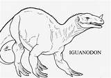 Iguanodon Dinosaurios Diplodocus sketch template
