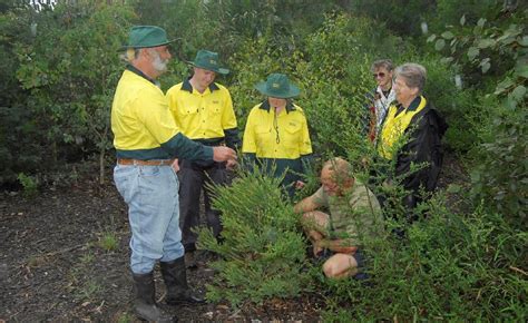 bushcare volunteers    major day   moore reserve st george sutherland shire