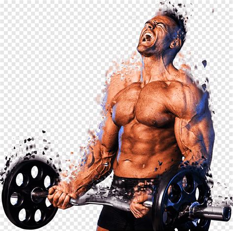 Weight Training Muscle Bodybuilding Barbell Lean Body Mass Chest