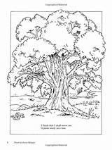 Color Coloring Trees Amazon Tree Poems Pages Children sketch template