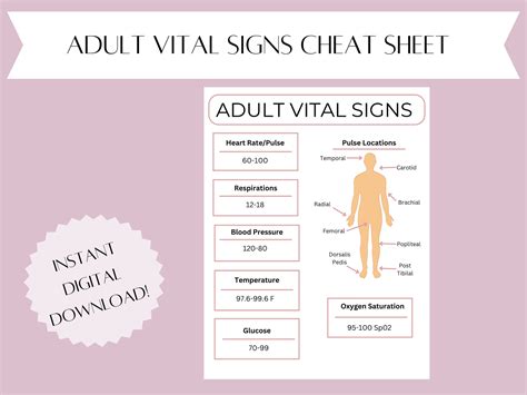 vital signs cheat sheet adult vital signs  grad nurse cheat