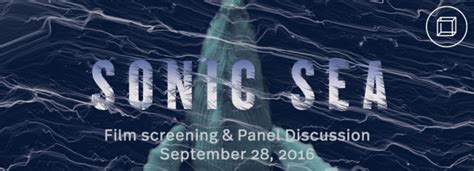film screening  panel discussion sonic sea whiteboxwhitebox