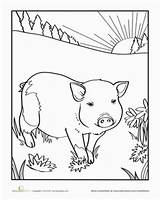 Coloring Pages Farm Preschool Worksheet Education Animals Pig Piglet Kids Animal Worksheets Printable Books Pigs Choose Board Artikel Artigo Van sketch template