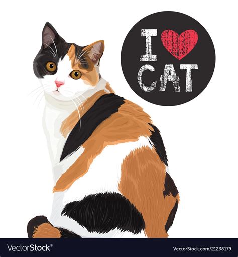 i love cute cat royalty free vector image vectorstock