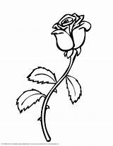 Outline Rose Use Designs Clipartix Personal Projects These sketch template