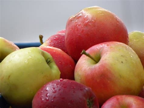 fresh apples  photo  freeimages