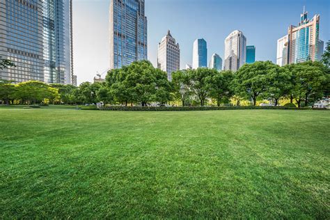living  urban green spaces  reduce breast cancer risk
