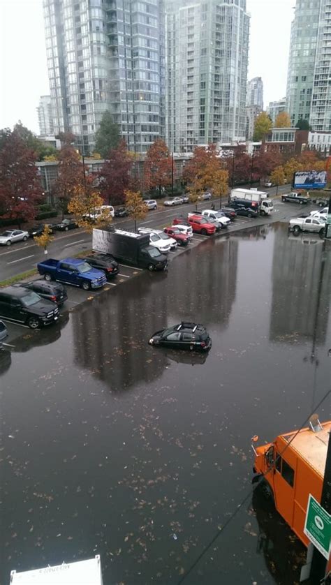 18 photos and videos of metro vancouver s chaotic flooding news