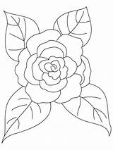 Camellia Coloring Flower Pages Leaves Four Flowers Color Printable Bestcoloringpages Kids Recommended Designlooter Drawings sketch template