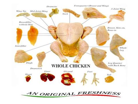 chicken parts food  pinterest