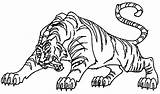Tigre Tigres Cringer Colorier Heman sketch template