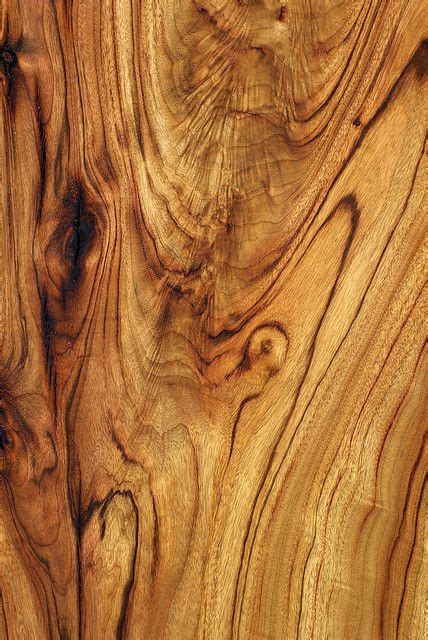 ww wood texture camphor laurel wood patterns texture wood texture