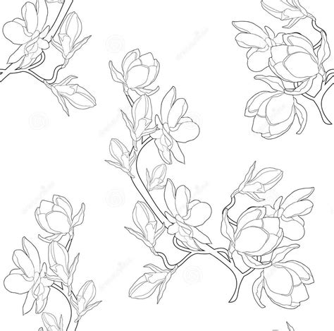 coloring magnolia flower coloring pages coloring cool