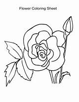 Coloring Flower Sheets Girls Rose Sheet Boys Esl sketch template
