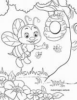 Biene Bienen Ausmalbilder Lebah Mewarnai Malvorlage Ausmalbild Insekten Fiverr Children Mandalas Herunterladen sketch template