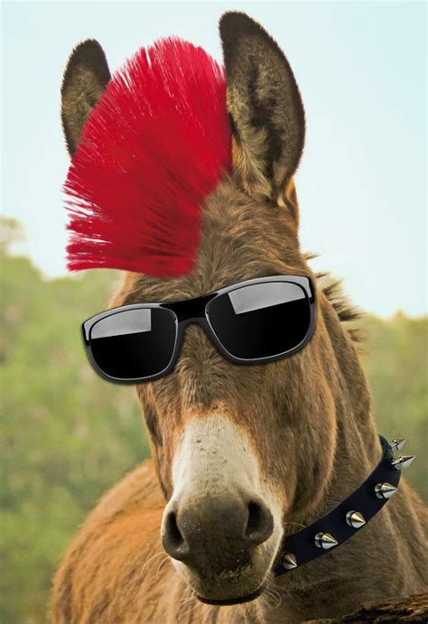 badass donkey  red mohawk funny birthday card