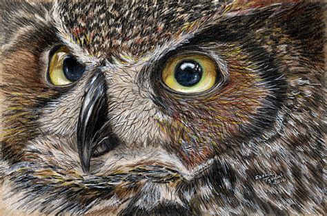 owl eyes drawing  sheila tysdal pixels