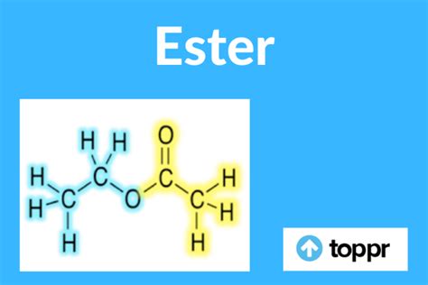 ester definition nomenclature properties structure reactions