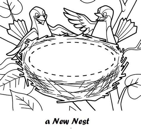 bird nest  eggs coloring pages lets coloring  world
