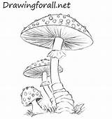 Mushroom Mushrooms Drawing Drawings Draw Pencil Drawingforall Fungi Easy Lines Line Pencile Step Coloring Add Para Erase Unnecessary Grass Possible sketch template