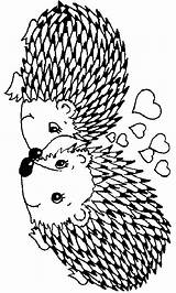 Hedgehog Coloring Pages Color Animal Sheets Print Animals sketch template