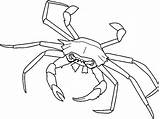 Cangrejos Crab Centollo Cangrejo Drawings Shellfish Ahiva Aranas Maja Squid Cuttlefish sketch template