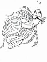 Betta Fish Coloring Drawing Tattoo Pages Drawings Fighting Siamese Outline Beta Great Would Make Color Stencil Deviantart Line Peixe Template sketch template