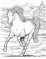 Horse Coloring Pages Running Printable Realistic Horses Getcolorings Getdrawings sketch template
