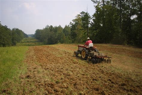 Simple Food Plot Sizes And Forage Choices Deer And Deer