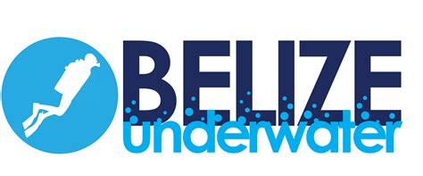 belize underwater snorkeling and scuba diving in belize