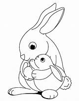 Rabbits Colouring sketch template