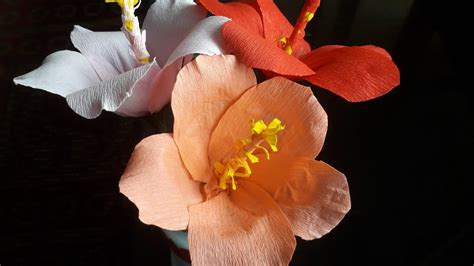episode  hibiscus flower making  creape paper