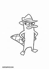 Platypus Ferb Phineas sketch template
