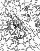 Colorare Spiderman Ragno Uomo sketch template
