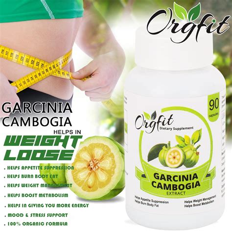 orgfit garcinia cambogia for weight loss 180 no s fruit pack of 2 buy