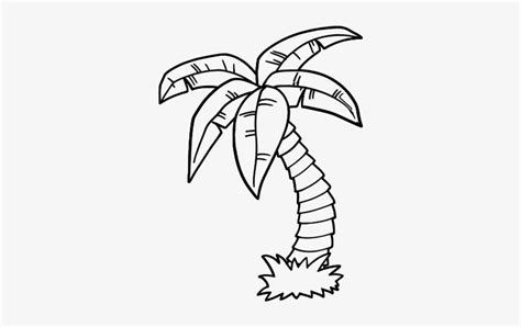 palm tree coloring picture palm tree  nature printable coloring
