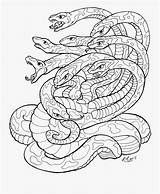 Hydra Dragon Lineart Medusa Reptilien Malvorlage Getdrawings Desenhos Colorir Clipartkey змеи Gremlins Hiclipart Rachaelm5 Reptile Pngegg Designlooter Bord sketch template