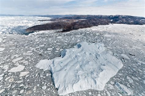 fold increase  polar ice cap melting